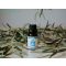 Bewit Eucalyptus Globulus 15ml