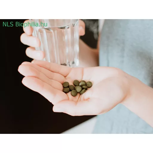 Bewit BIO Chlorella PYRENOIDOSA tabletta 130g