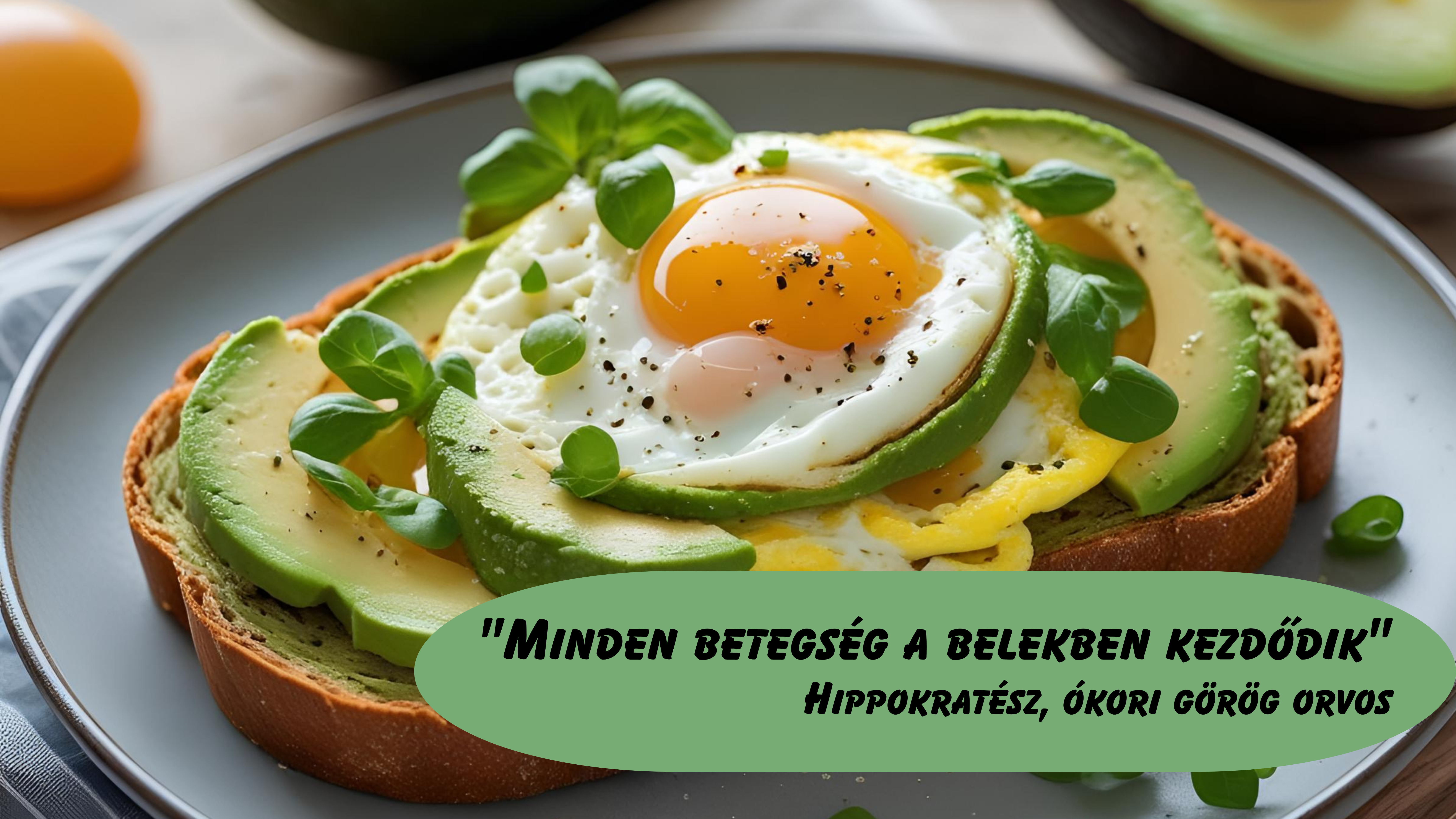 A bélmikrobiom és a betegségek kapcsolata