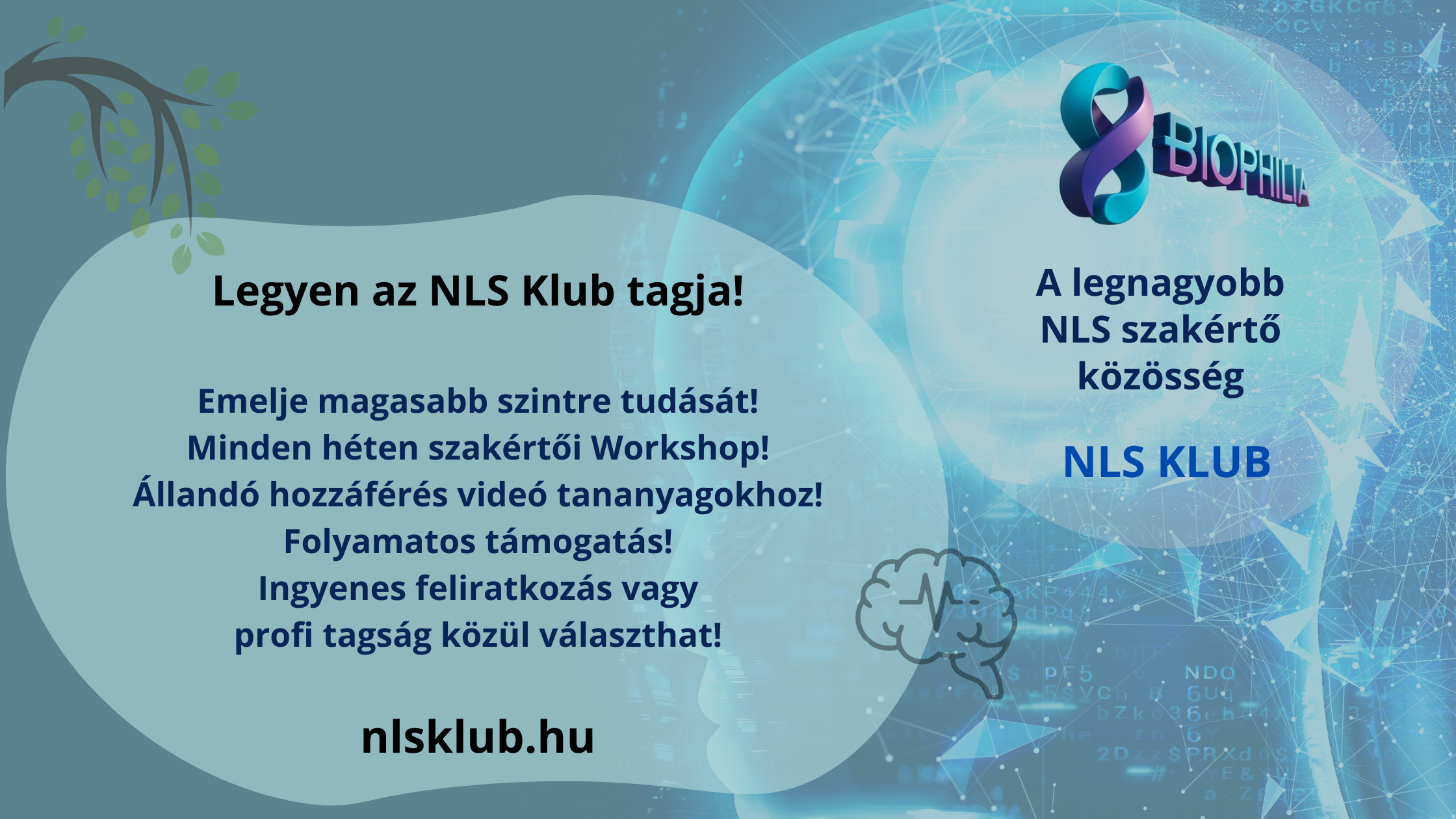 NLS Klub